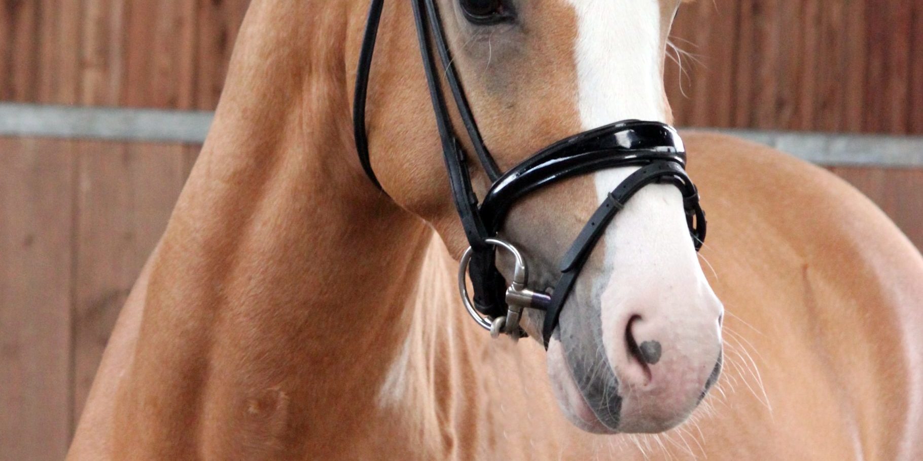 F7A3FC25-0817-48E0-A693-29ED538AC7DF